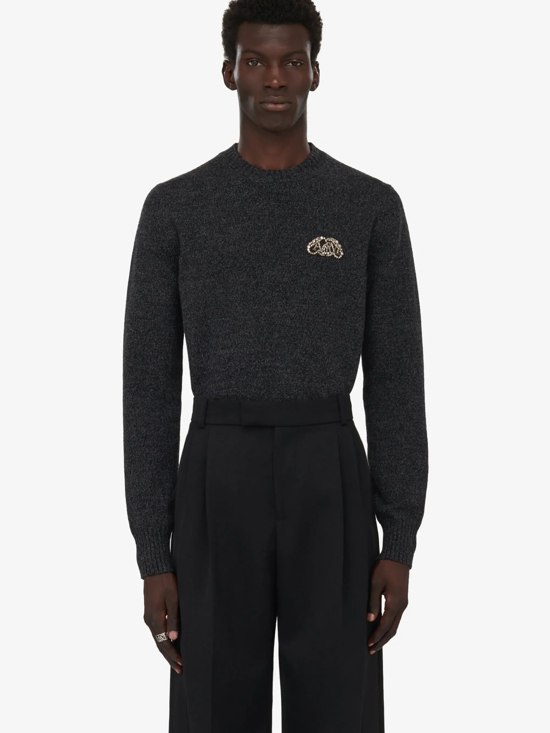 Men's Crystal Seal Logo Jumper in >Alexander McQueen Cheap