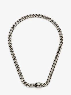 Men's Skull Chain Necklace in >Alexander McQueen Flash Sale