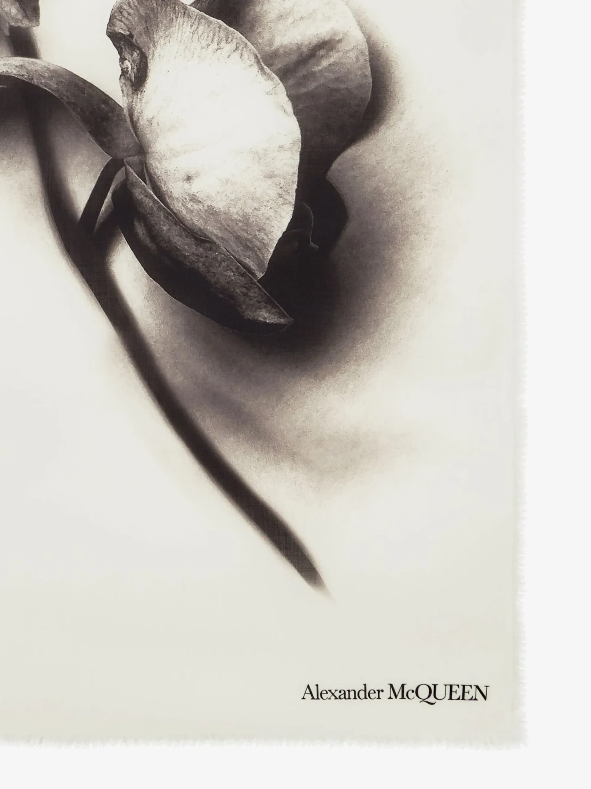Women's Orchid Stem Shawl in >Alexander McQueen Best Sale