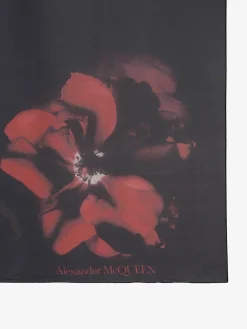 Women's Shadow Rose Shawl in ><noscript><img width=